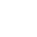 icone detailing polissage